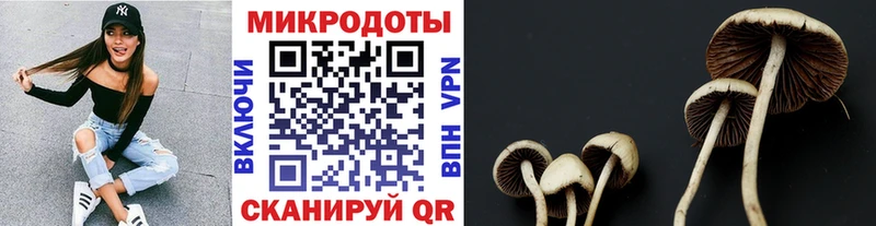 Галлюциногенные грибы GOLDEN TEACHER  купить наркотик  Лениногорск 