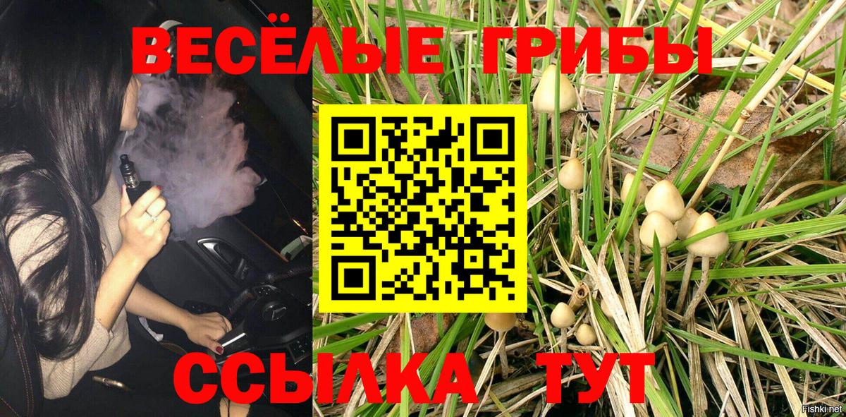 Псилоцибиновые грибы ЛСД  Вход с VPN  Лениногорск 