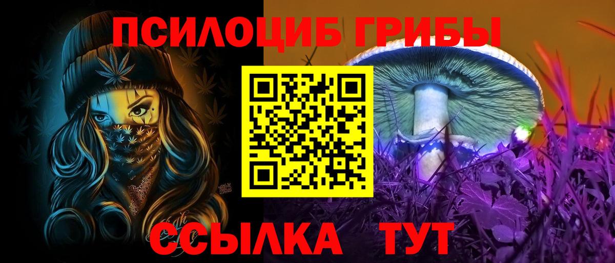 Псилоцибиновые грибы прущие грибы Лениногорск