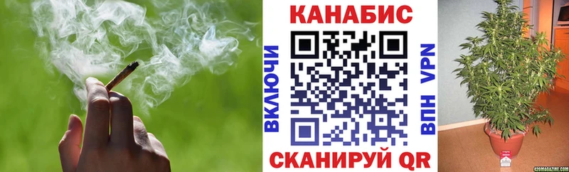 наркошоп  Лениногорск  kraken зеркало  Каннабис семена 